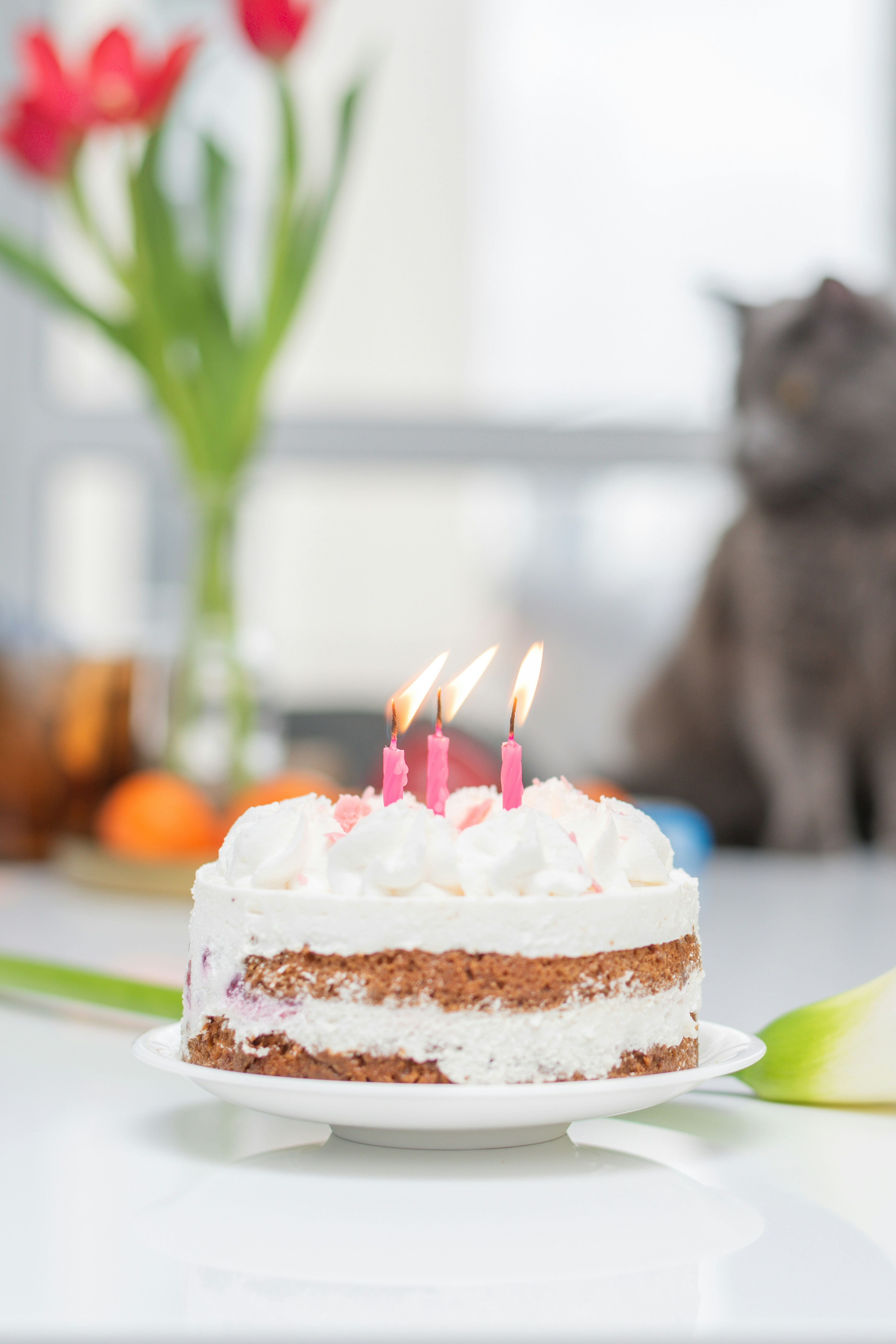 Birthday Cake